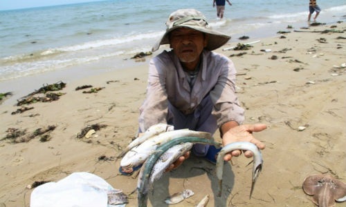Formosa chuyển nốt 250 triệu USD bồi thường vụ cá chết vào ngày 28/8 - 1
Số tiền Formosa đền bù sẽ được sử dụng theo hướng hỗ trợ tối đa cho người dân bị thiệt hại