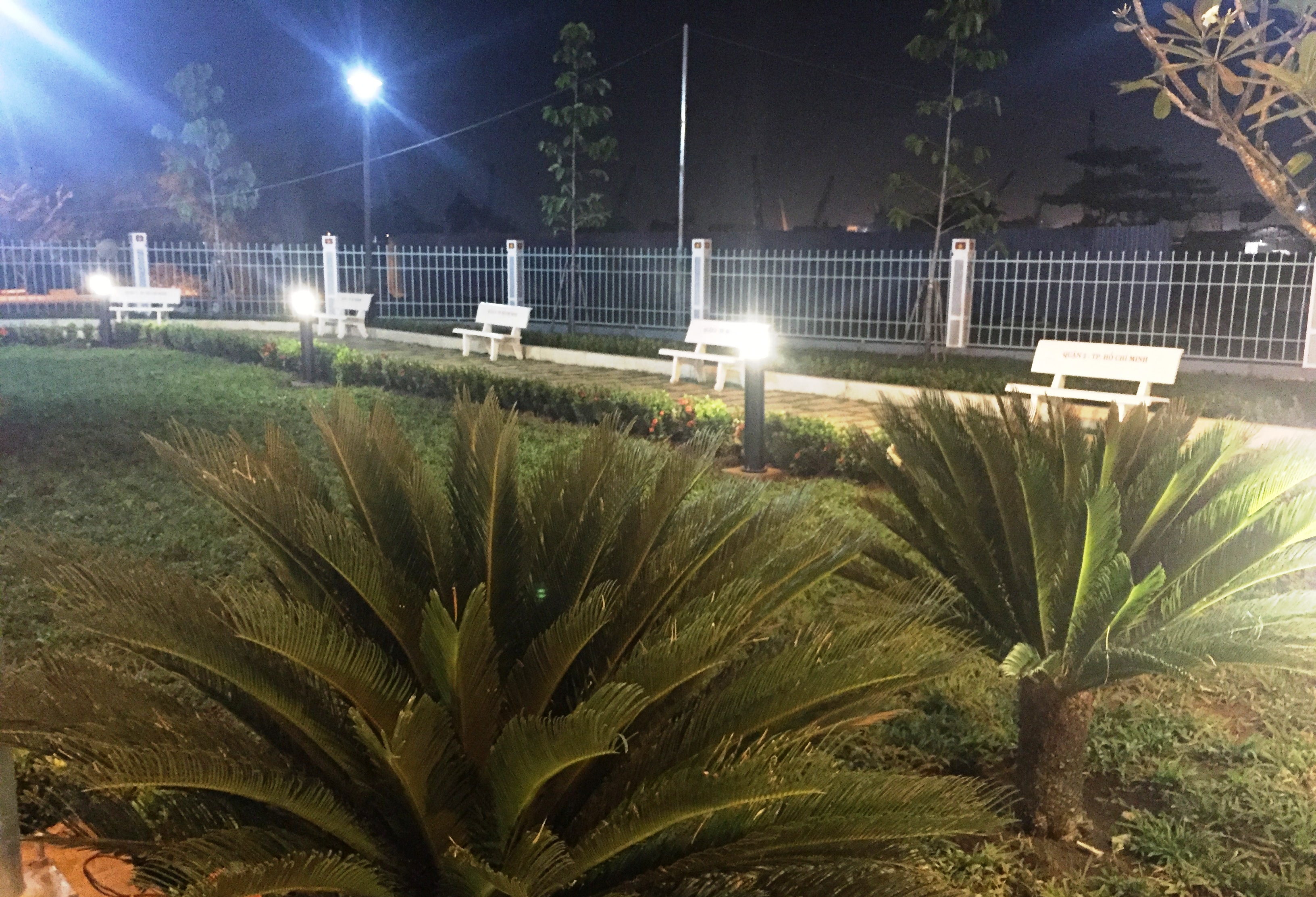 
Tại công viên, hệ thống cây xanh, thảm cỏ được thiết kế đảm bảo yếu tố hài hòa, thân thiện, tạo không gian xanh cho khu vực, sử dụng các loại cây mang tính bản địa và truyền thống như chiếc, tre vàng, phượng vĩ, sứ đại, tùng tháp, thiên tuế, dầu và trang đỏ.
