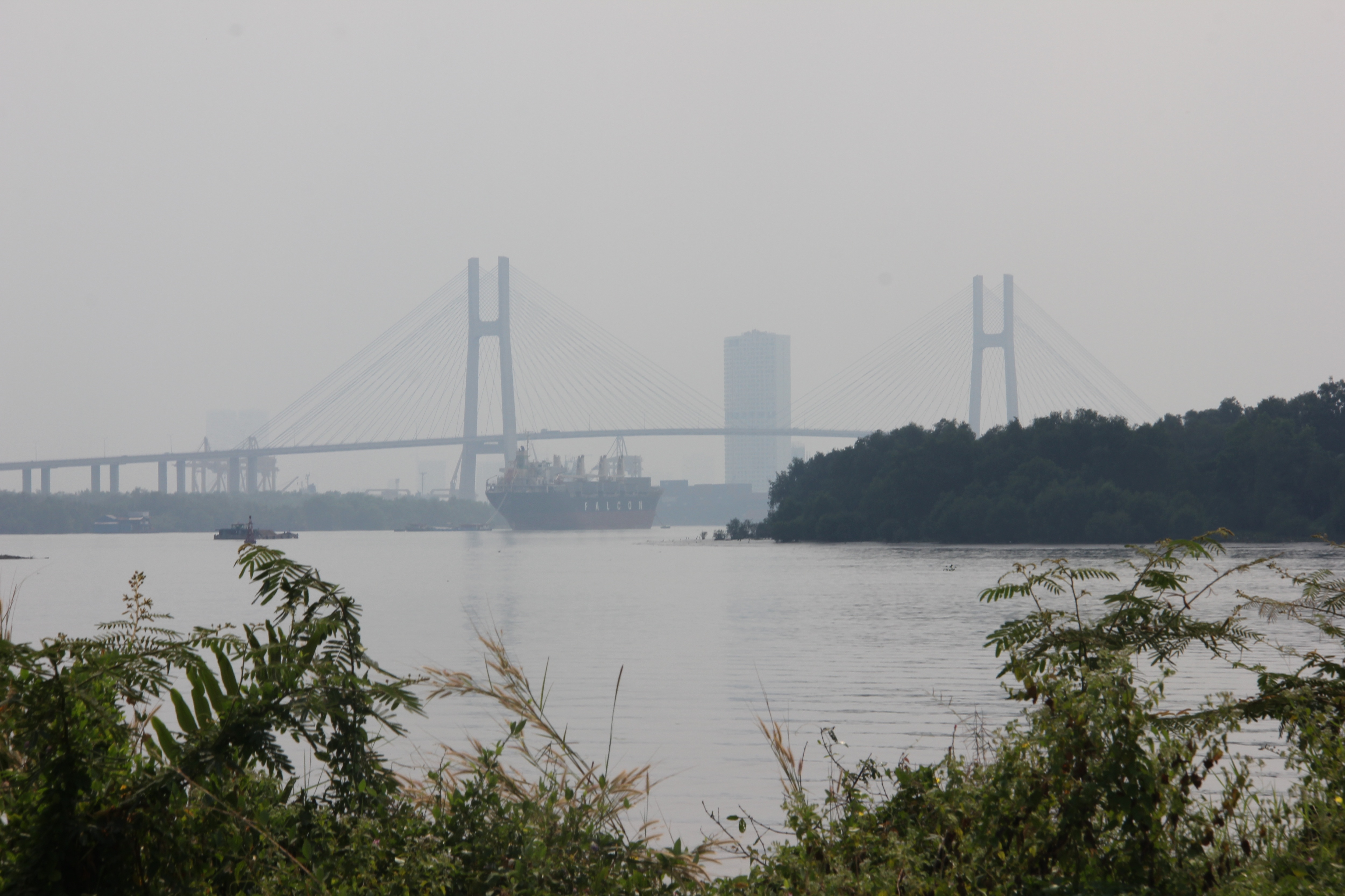 Cầu dây văng Phú Mỹ bắt ngang con sông Sài Gòn nối giữa quận 7 và quận 2 mờ ảo trong mù sương khiến tầm nhìn của nhiều phương tiện lưu thông bị hạn chế