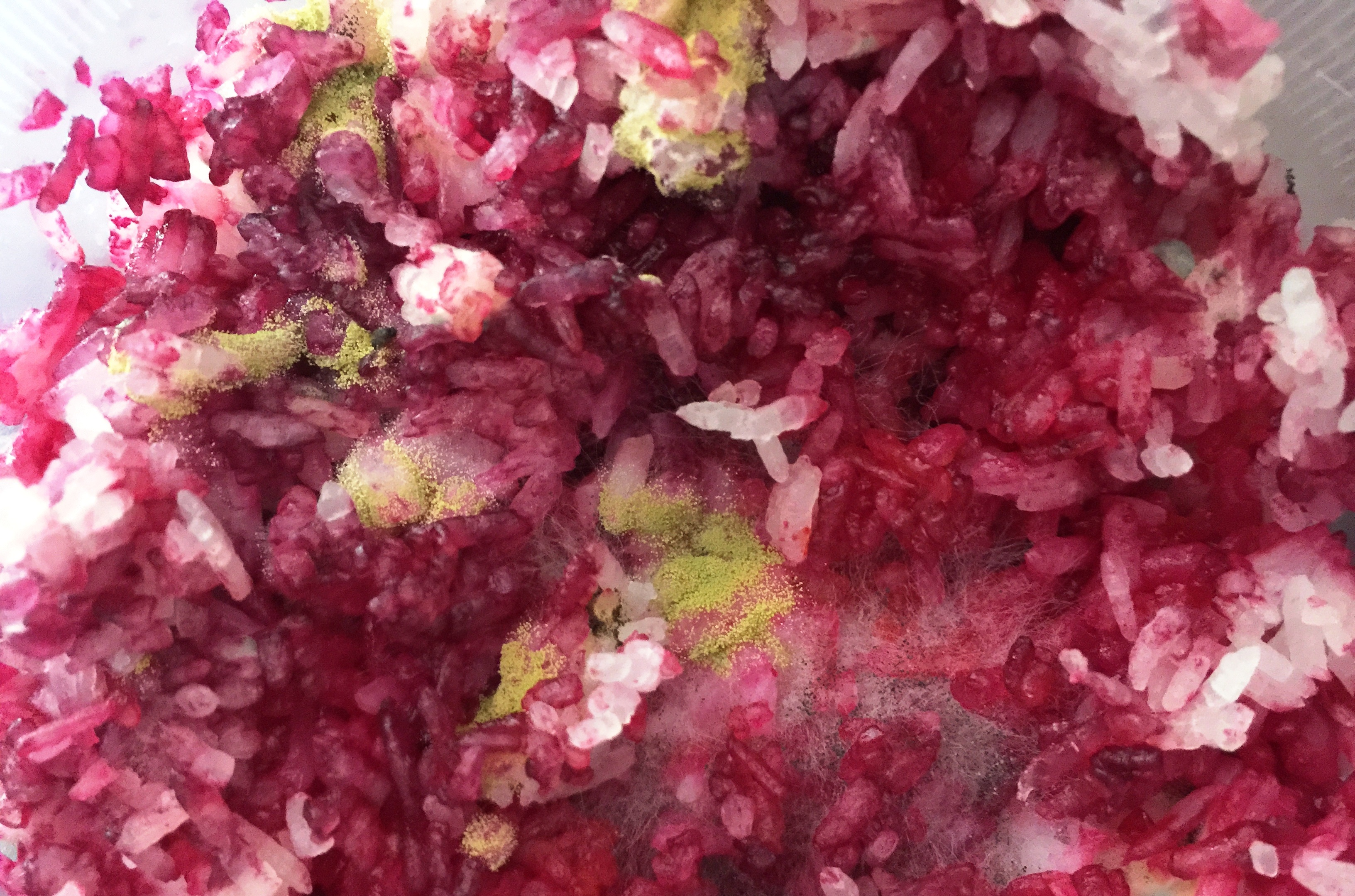 Hoang mang thông tin cơm trắng tự chuyển dần sang... màu đỏ (?) - 2