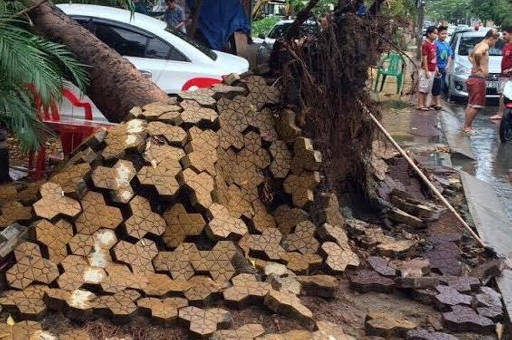 Cây xà cừ cao hàng chục mét bật gốc đè bẹp 3 ôtô - 4 Gạch đất vỉa hè đường Nguyễn Văn Hưởng ngổn ngang sau sự cố.