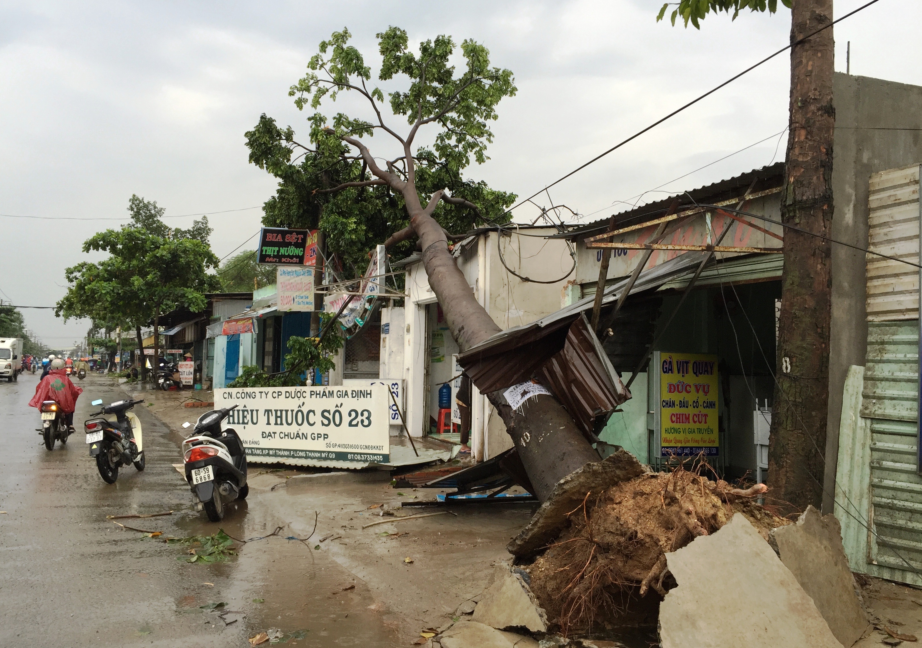 
Hàng loạt cây xanh trên nhiều tuyến đường ở quận 9 gãy đổ trong cơn giông lốc kinh hoàng.
