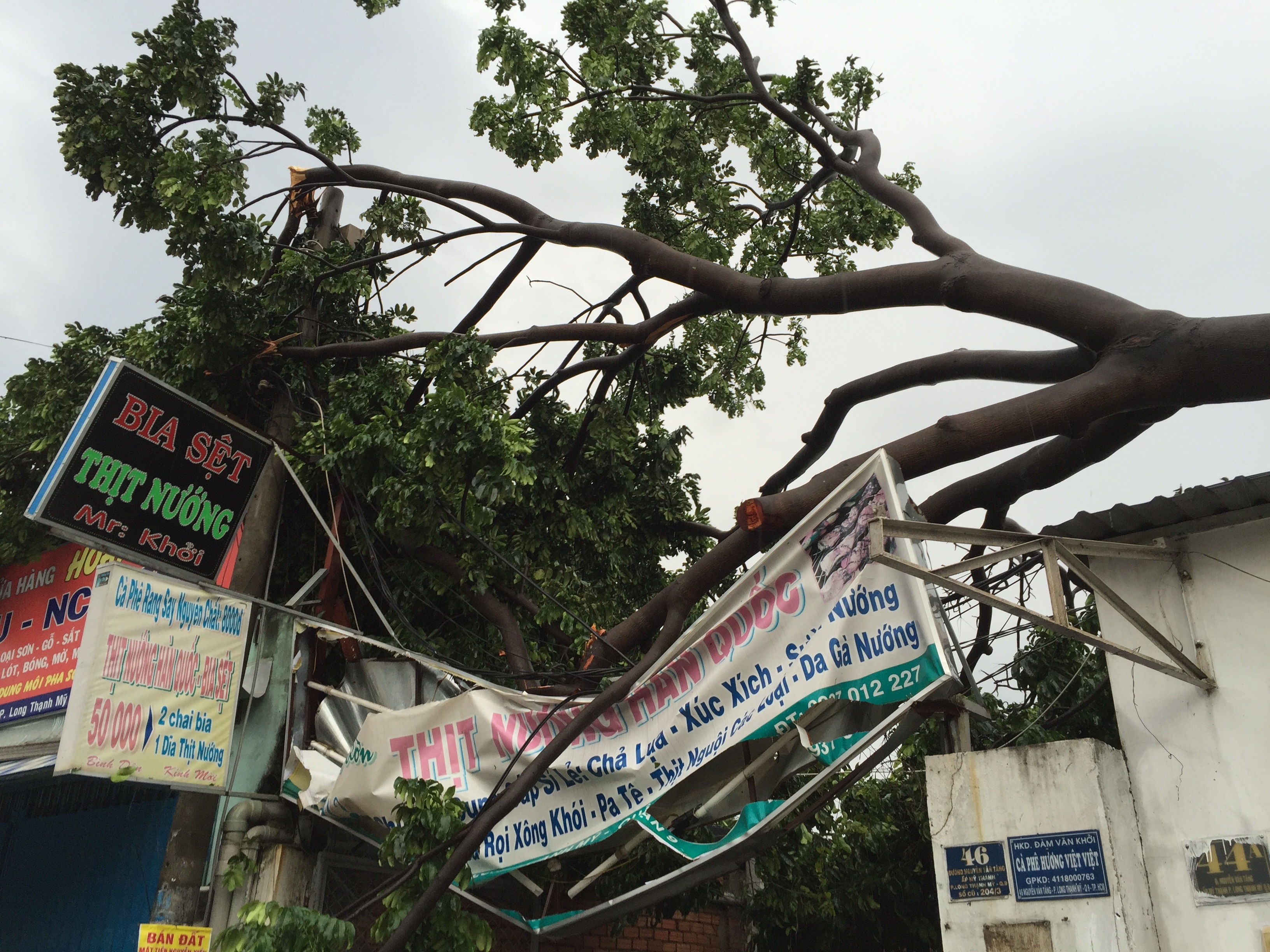 Giông lốc kinh hoàng "tàn phá" vùng ven Sài Gòn - 5