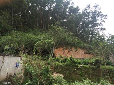 Khu vực đất rừng xảy ra tranh chấp giữa hộ ông Hiến và hộ ông Thìn