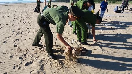 Hơn 1.000 đoàn viên, thanh niên ra quân làm sạch môi trường biển - 4