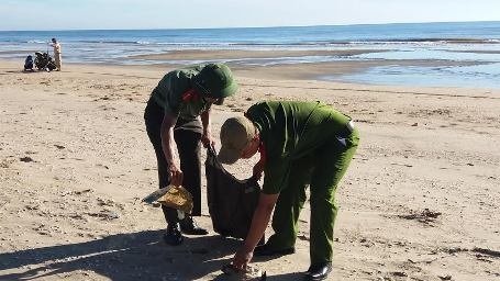 Hơn 1.000 đoàn viên, thanh niên ra quân làm sạch môi trường biển - 5