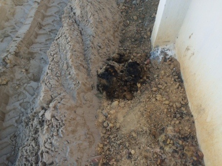 Phát hiện một vị trí chôn lấp rác thải của Formosa trong... công viên - 2