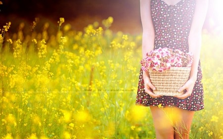 Bộ sưu tập hình nền hoa đẹp mắt mừng ngày Phụ nữ Việt Nam 20/10 - 1 flowers-1-1445275512506