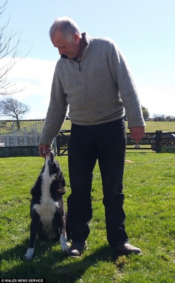 Chú chó một mình vượt quãng đường gần 400km để trở về với chủ cũ - 3 Sự trung thành của Pero đã khiến ông James (phải) quyết định giữ lại chú chó của mình