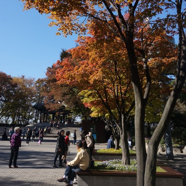 Tuyển tập những ứng dụng, thủ thuật nổi bật tuần qua - 5