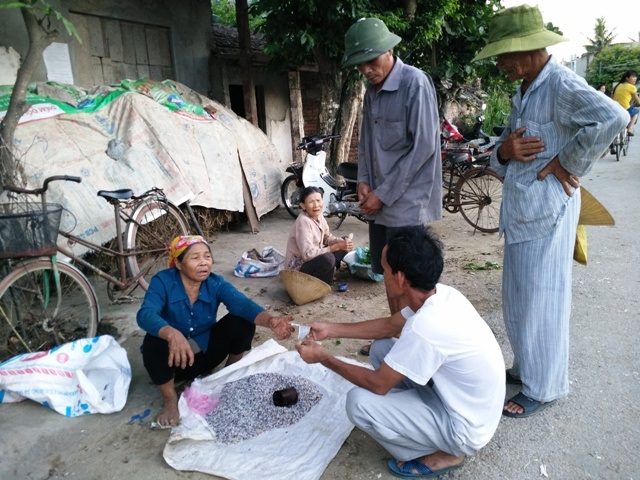 Hơn 100 nghìn dân “bãi ngang” mòn mỏi chờ được cấp BHYT - 3 Nhiều người già ở các vùng bãi ngang của Thanh Hóa đến nay vẫn chưa nhận được thẻ BHYT để đi khám chữa bệnh