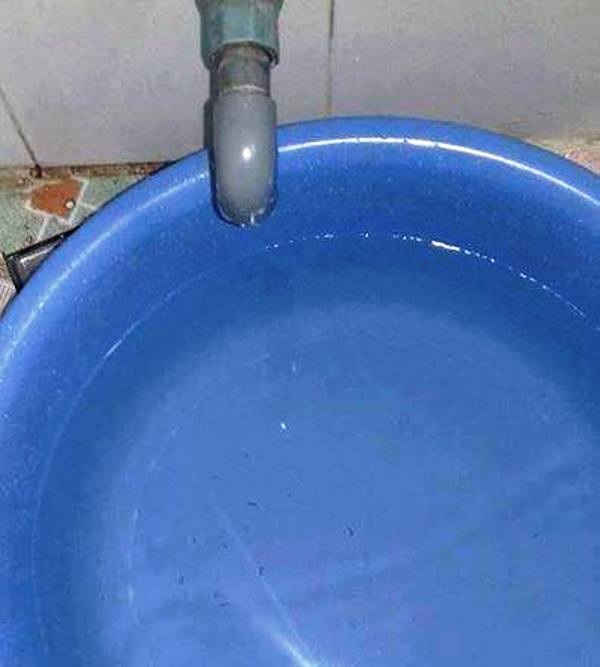 7/10 phường ở thành phố Ninh Bình người dân phát hiện có sinh vật lạ trong nước