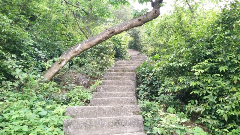 Cụ bà 91 tuổi kể lịch sử bằng… thơ - 5 Đường lên lăng vua Đinh Tiên Hoàng ở Di tích cố đô Hoa Lư