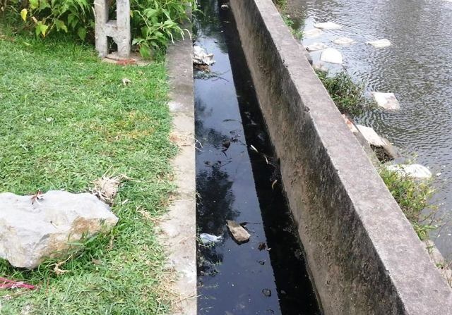 Thi thể người đàn ông dưới mương nước với nhiều thương tích - 1 Hiện trường nơi phát hiện thi thể nạn nhân