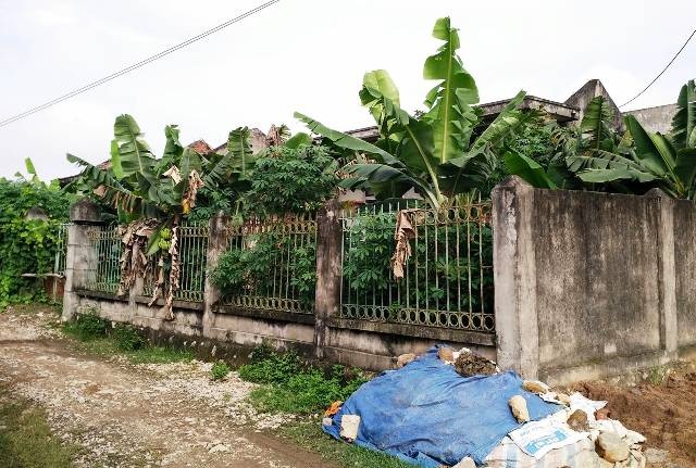 Công trình nước sạch biến thành... chuồng bò - 5 Người dân biến công trình nước sạch tiền tỷ thành nơi trồng chuối, sắn, rau.