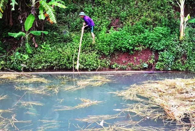 Công ty luyện quặng để tràn chất thải gây chết cá người dân - 2
Cá nằm chết trắng la liệt ngoài suối, trong ao của nhiều hộ dân (ảnh: TTXVN)