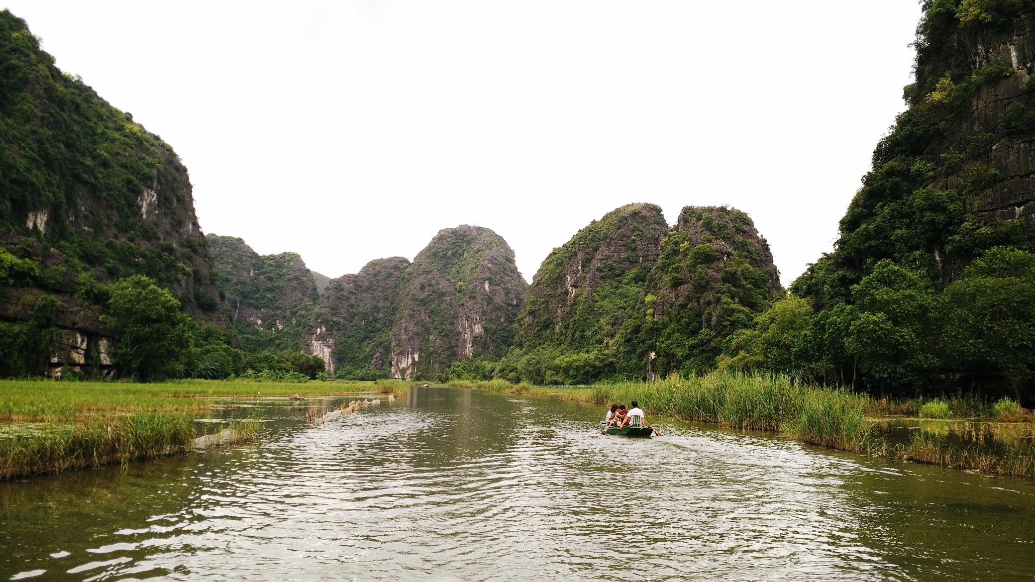 Tam Cốc – Bích Động đẹp "hút hồn" mùa sen nở - 10 Màu xanh ngút ngàn tại Tam Cốc