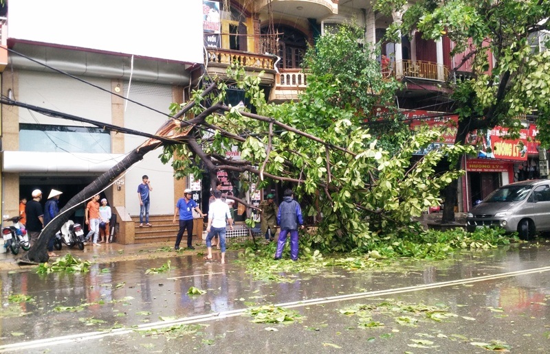 Tuy không có thiệt hại về người, nhưng trên địa bàn Ninh Bình thiệt hại rất lớn về tài sản