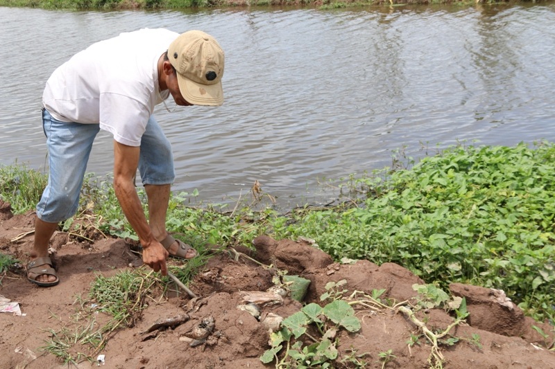 Địa điểm người dân thôn Phú Hào phát hiện cán bộ BQL Khu công nghiệp Ninh Bình vớt cá dưới kênh rồi đem chôn xuống đất.