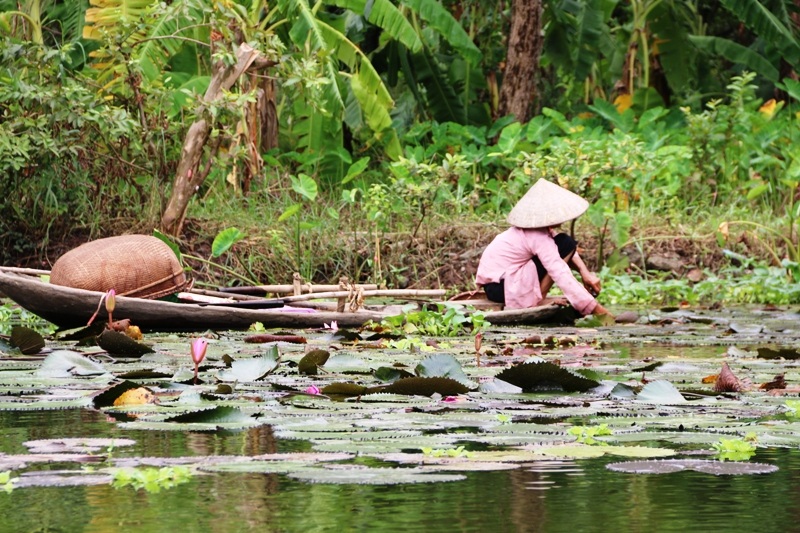 Cuộc sống bình dị của người dân làng Tràng An bên dòng sông Sào Khê