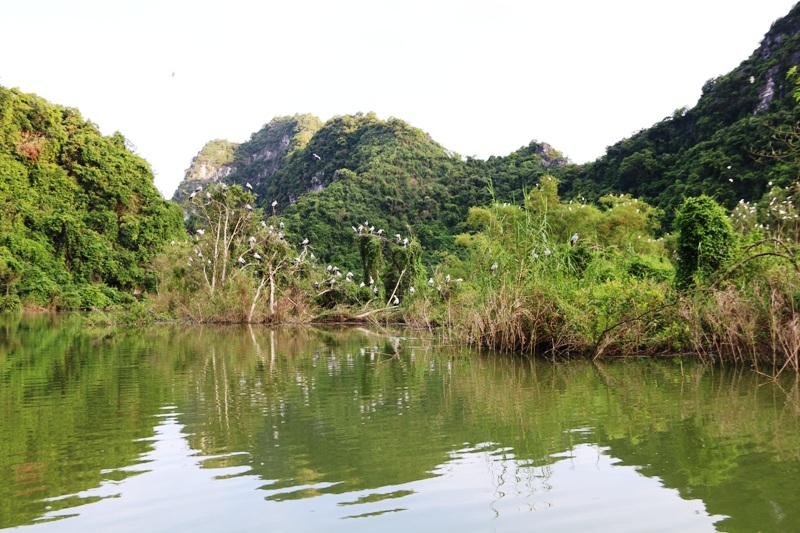 Thung Nham thuộc xã Ninh Hải, huyện Hoa Lư (Ninh Bình) nổi tiếng từ lâu, được nhiều người biết đến bởi nơi đây có thung chim lớn bậc nhất Việt Nam.