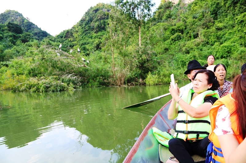 Về Ninh Bình khám phá "đảo cò" Thung Nham - 18