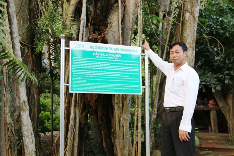 Theo ông Linh, một nhân viên hướng dẫn tại ngôi đền cổ Cối Đại, nhiều nhà khoa học đã về tham quan và nghiên cứu về cây đa này. Mọi người đều cho biết, đây là cây đa đặc biệt ở Việt Nam, không chỉ có tuổi đời cao mà trải qua hàng ngàn năm, cây vẫn xanh tốt và giữ nguyên được giá trị.