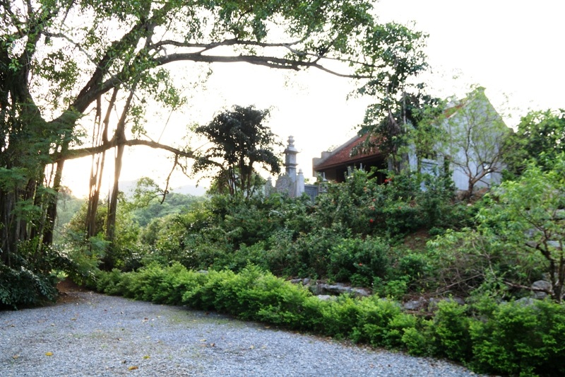 Cây đa di chuyển nằm sừng sững giữa núi rừng Thung Nham. Hàng nghìn năm qua, cây đa này che chắn cho ngôi đền cổ. Theo truyền thuyết, sau khi dẹp loạn 12 xứ quân Thắng Đại Vương được Đinh Tiên Hoàng giao cho chấn ải vùng đất phía tây ở Hoa Lư và sống ẩn tại đây đến lúc chết. Khi ông qua đời, nhà vua cho xây ngôi đền ngay dưới gốc đa để người dân đời sau nhớ đến công lao của ông.