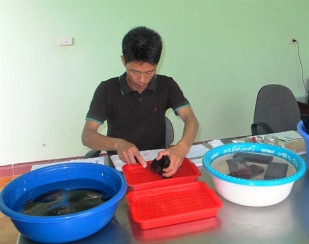 Nuôi ngọc trai nước ngọt kiếm tiền tỷ mỗi năm - 3 Khi thu hoạch, ngoài ngọc trai cho giá trị kinh tế chính thì vỏ và thịt trai cũng được tận dụng để làm hàng mỹ nghệ, thực phẩm hoặc thức ăn chăn nuôi.