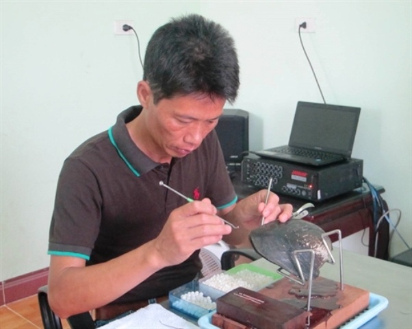 Nuôi ngọc trai nước ngọt kiếm tiền tỷ mỗi năm - 2 Công đoạn ghép ngọc vào trai được thực hiện rất cẩn thận.