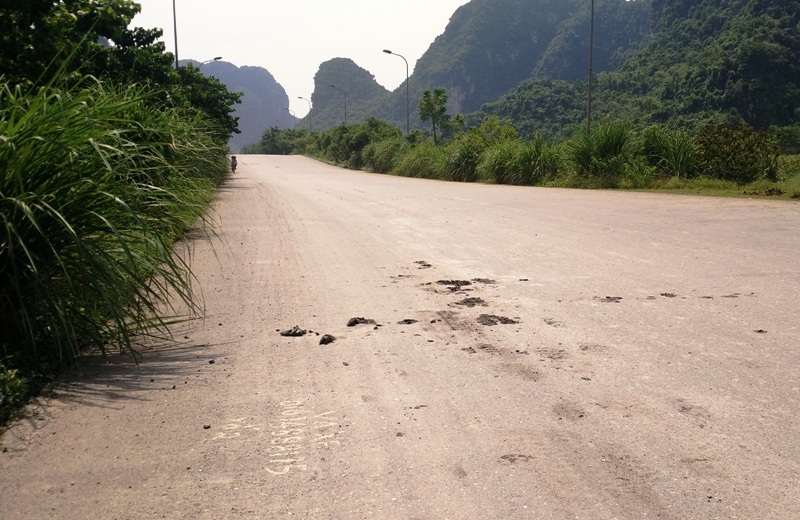 Đường vào danh thắng Tràng An mù mịt bụi đất - 3
Nhiều đoạn đường bùn đất từ trên thùng xe tải chở đất rơi xuống vương vãi khắp nơi, có chỗ đóng thành từng mảng lớn.
