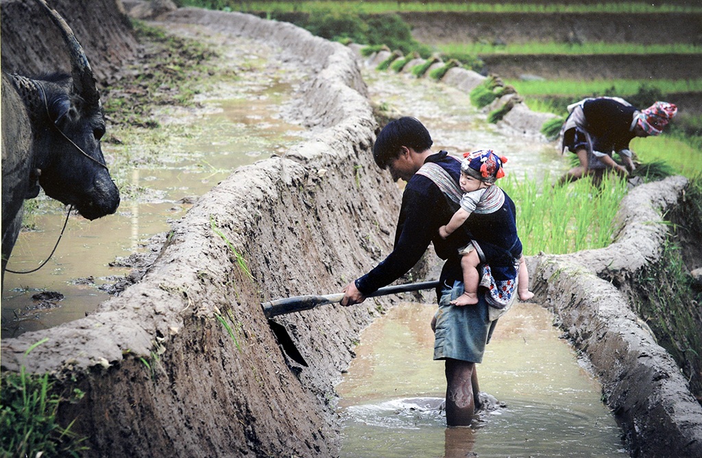 “Tan chảy” trước hình ảnh những ông bố Việt “bỉm sữa” đảm đang - 12