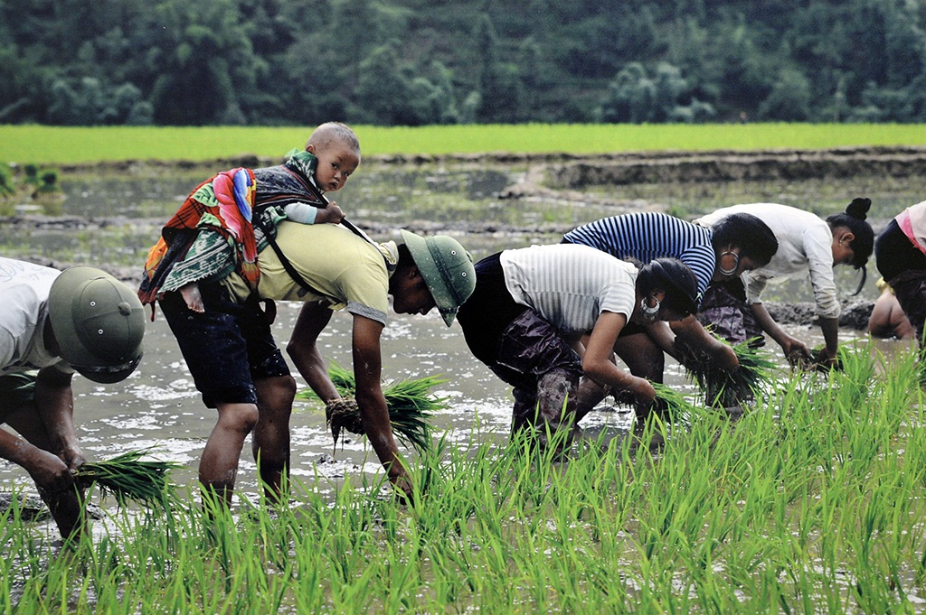 “Tan chảy” trước hình ảnh những ông bố Việt “bỉm sữa” đảm đang - 15