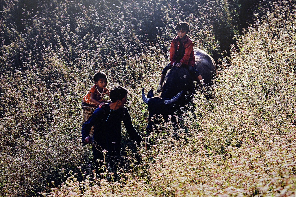 
Hình ảnh ba bố con người dân tộc thiểu số trên đường đến nhà ngoại giành giải Nhì
