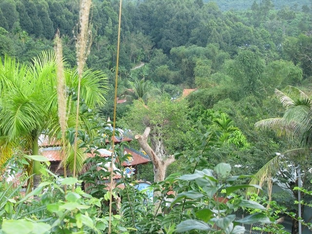 Biệt phủ của đại gia vàng được tồn tại hay phải tháo dỡ?