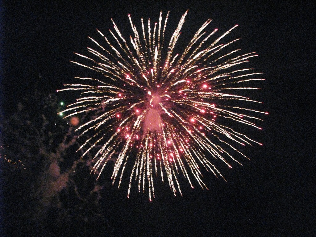 Hân hoan đón năm mới trong màn pháo hoa rợp trời - 21