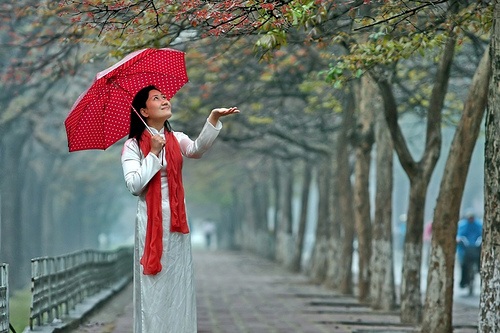 Tản mạn mưa xuân - 1 Tản mạn mưa xuân - 1
