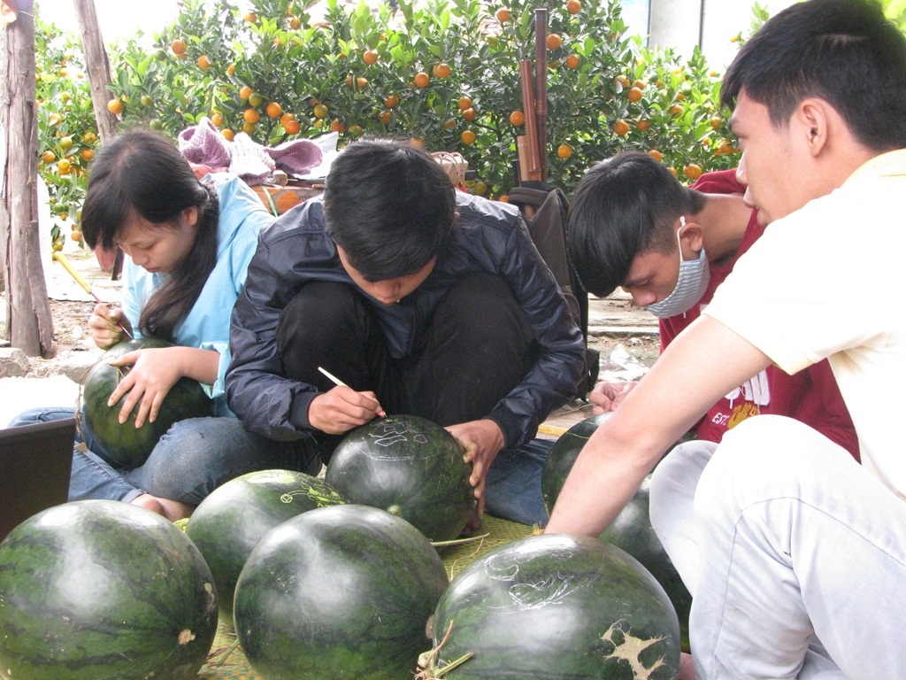 Những quả dưa hấu to, tròn