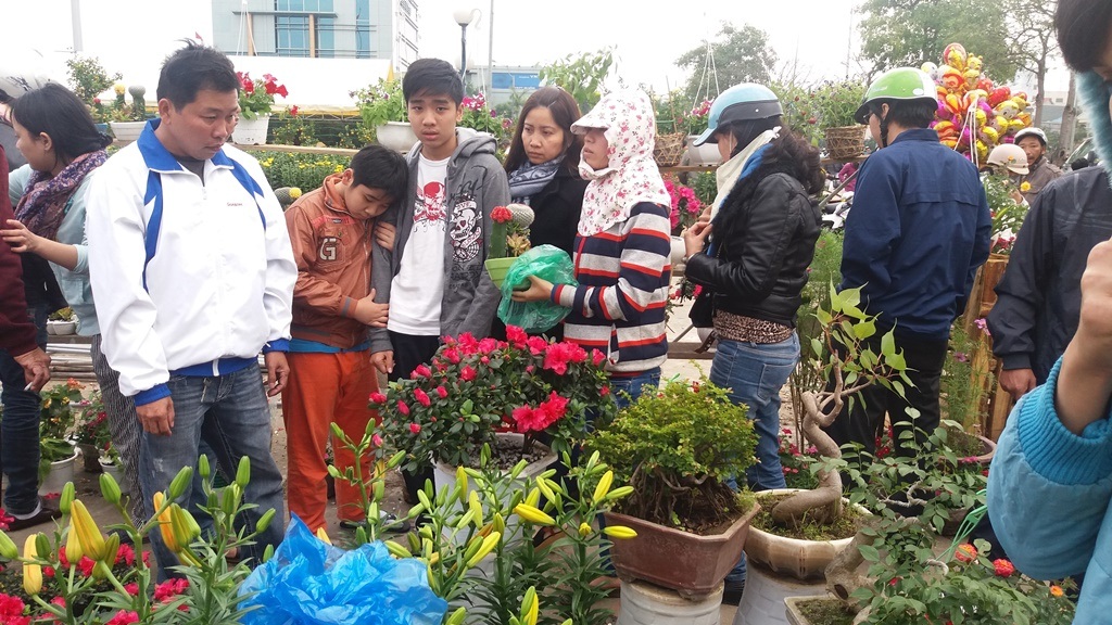 Chiều cuối năm, hoa, cây cảnh đua nhau “xả hàng” - 3 Khiến cho chợ hoa nhộn nhịp hơn hẳn những ngày qua