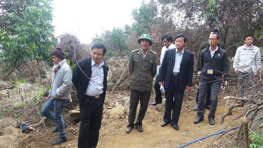 Cách chức Hạt trưởng, Hạt phó kiểm lâm trong vụ phá rừng Sơn Trà - 1 Phó Chủ tịch UBND TP Đà Nẵng Phùng Tấn Viết kiểm tra vụ phá rừng Sơn Trà