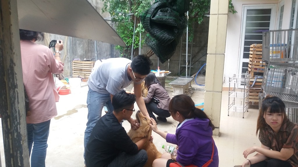 Trạm trưởng cứu hộ chó mèo thừa nhận bán chó vào lò mổ - 2 Những chú chó, mèo còn lại của trạm sẽ được Hội cứu trợ động vật Đà Nẵng hỗ trợ tìm chủ mới