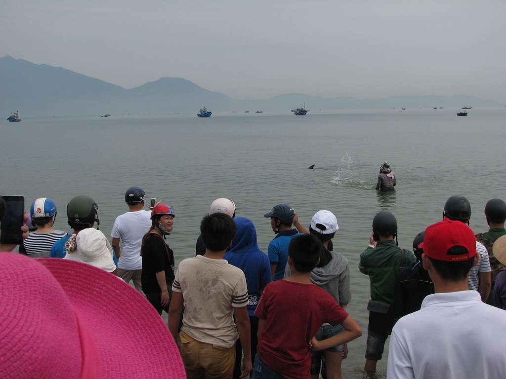 
Vì con cá còn sống nên các ngư dân lại đưa cá trở về biển
