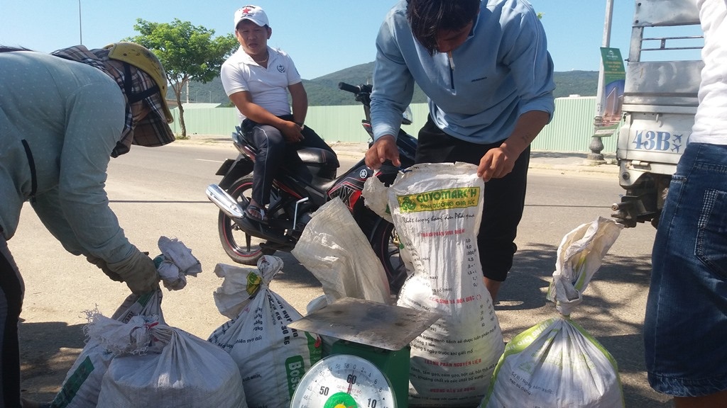 Đua nhau lặn chíp chíp bán cho Trung Quốc - 1 Chíp chíp được các thương lái thu mua để xuất khẩu sang Trung Quốc