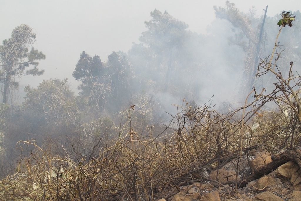 Vì địa hình phức tạp nên công tác tiếp cận đám cháy gặp  nhiều khó khăn