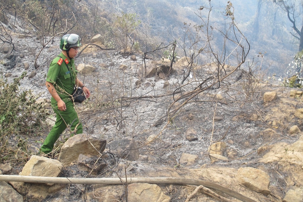 Vụ cháy rừng Nam Hải Vân đã được dập tắt 
