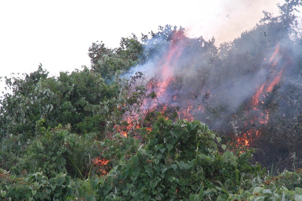 Lửa bùng cháy dữ dội tại rừng Nam Hải Vân