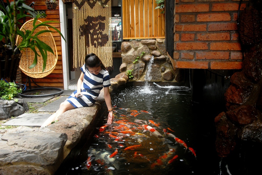 Nhiều người thích thú với việc chơi đùa với cá 