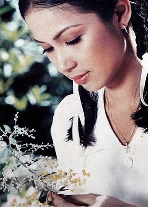 Việt Trinh và những vai diễn để đời - 2 Việt Trinh và những vai diễn để đời - 2