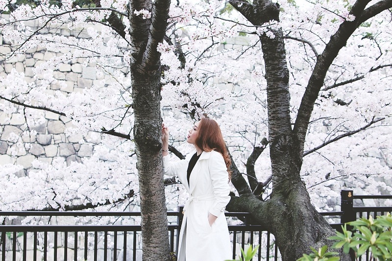 Mỹ Tâm xinh tươi tại xứ sở hoa anh đào - 3 Cô say sưa với khung cảnh đẹp ngất ngây khi hoa anh đào nở rộ