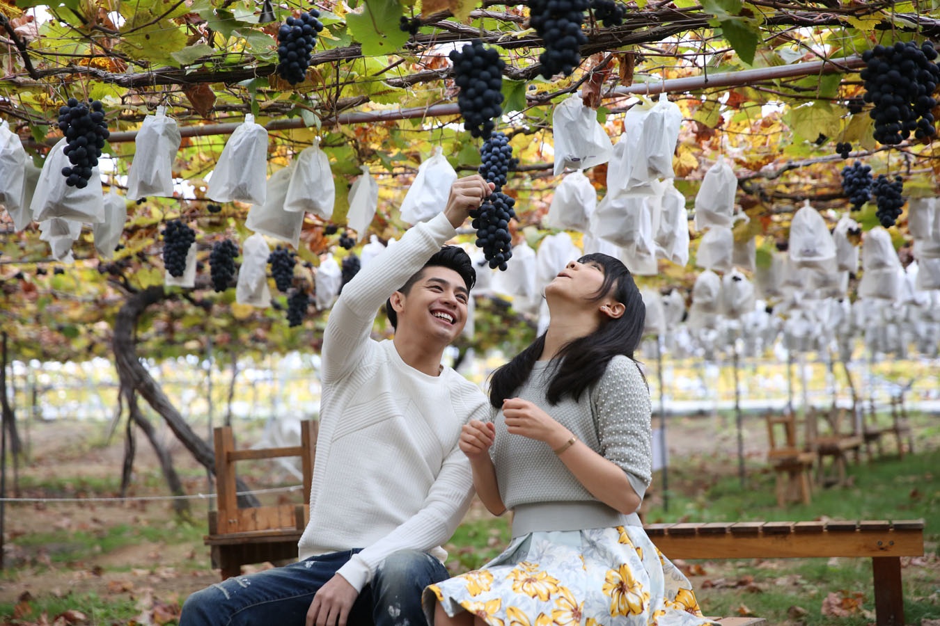 
Hạnh phúc ngọt ngào cùng người yêu ở khu vườn nho đầy ấn tượng
